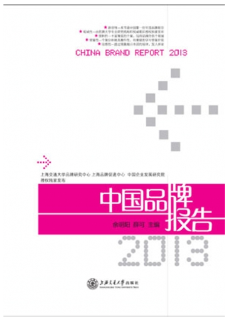 中国品牌报告2013